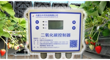 中國(guó)北方CO?新技術(shù)，將促進(jìn)農(nóng)作物光合作用和光合產(chǎn)物的生成