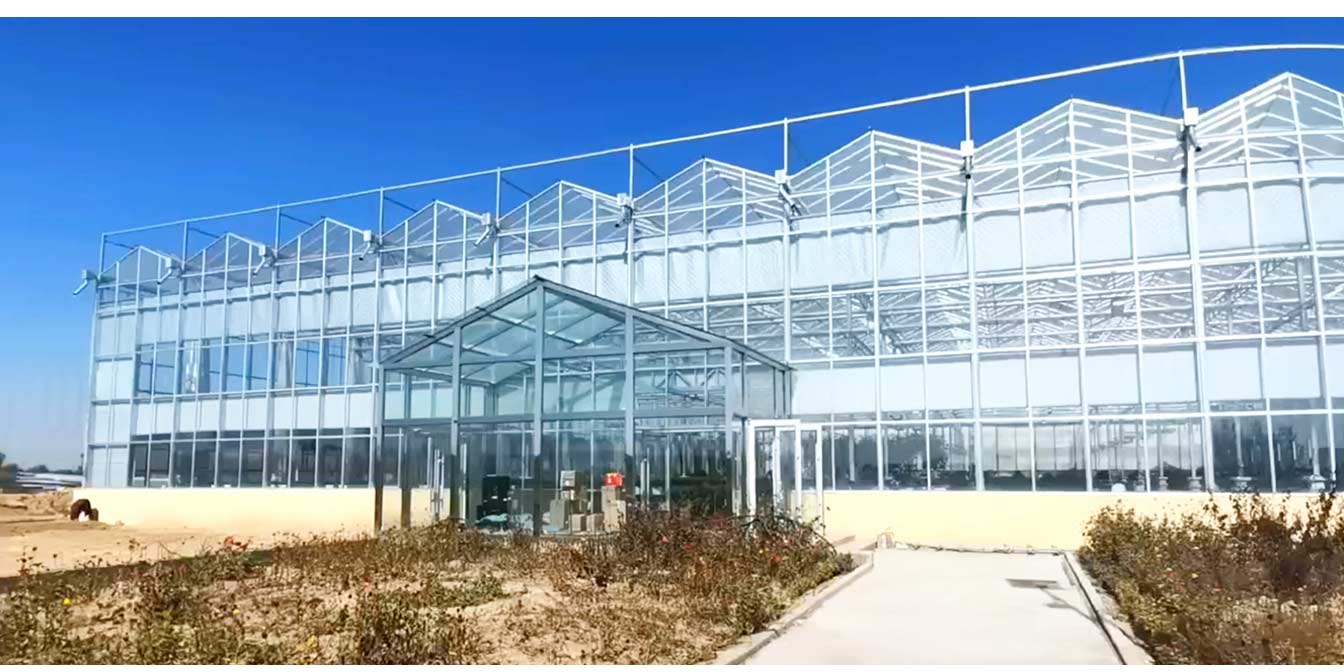 大路鎮(zhèn)苗家灘社區(qū)項(xiàng)目-智能溫室、日光溫室建設(shè)項(xiàng)目_13.jpg