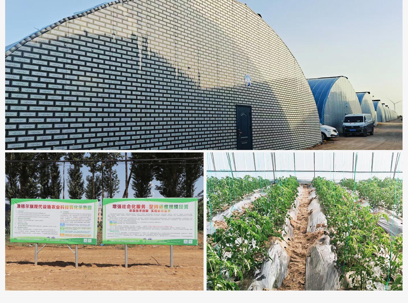 準(zhǔn)格爾旗現(xiàn)代設(shè)施農(nóng)業(yè)科技轉(zhuǎn)化示范園_10.jpg
