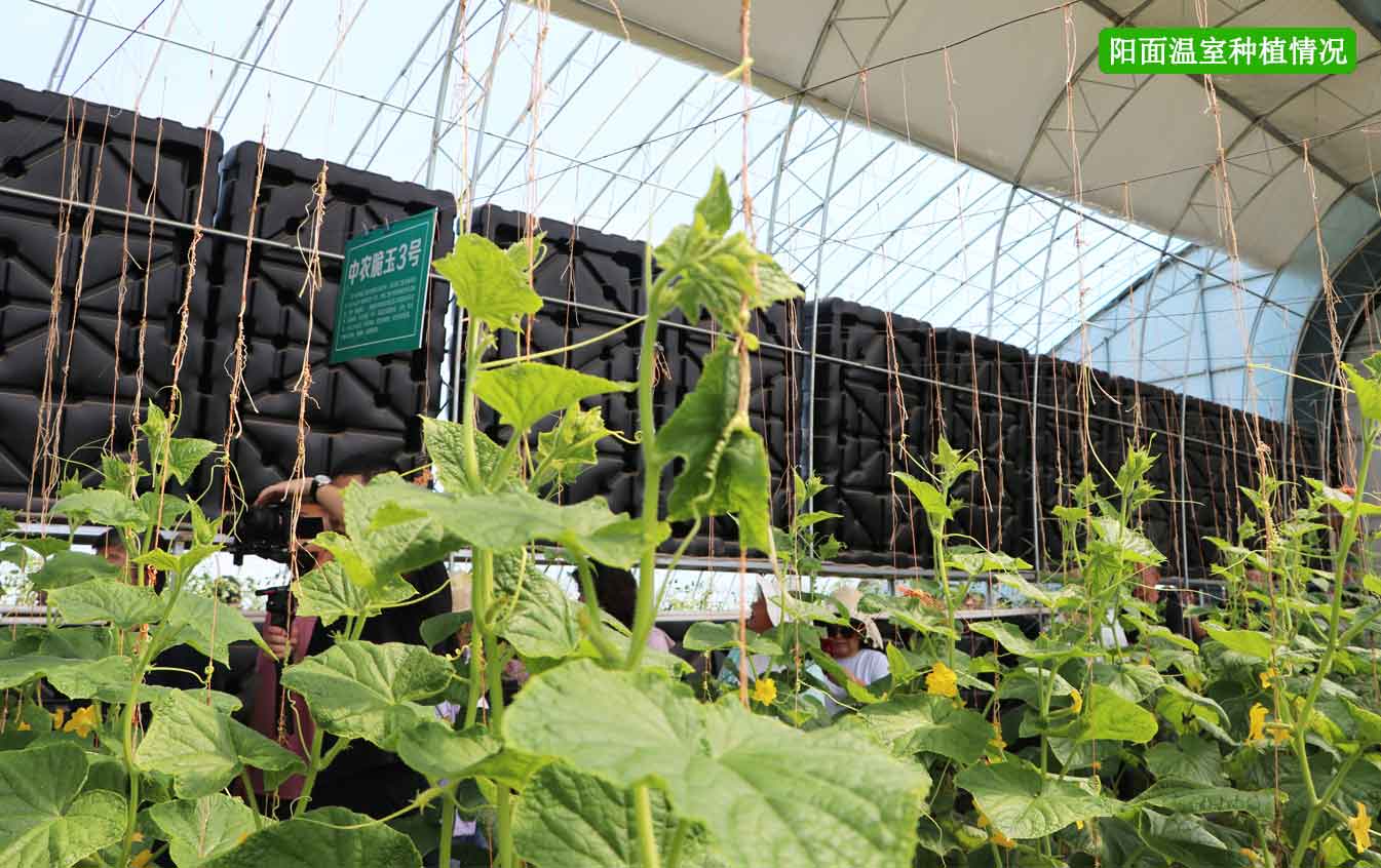 2、四季溫室網(wǎng)頁(yè)_12.jpg